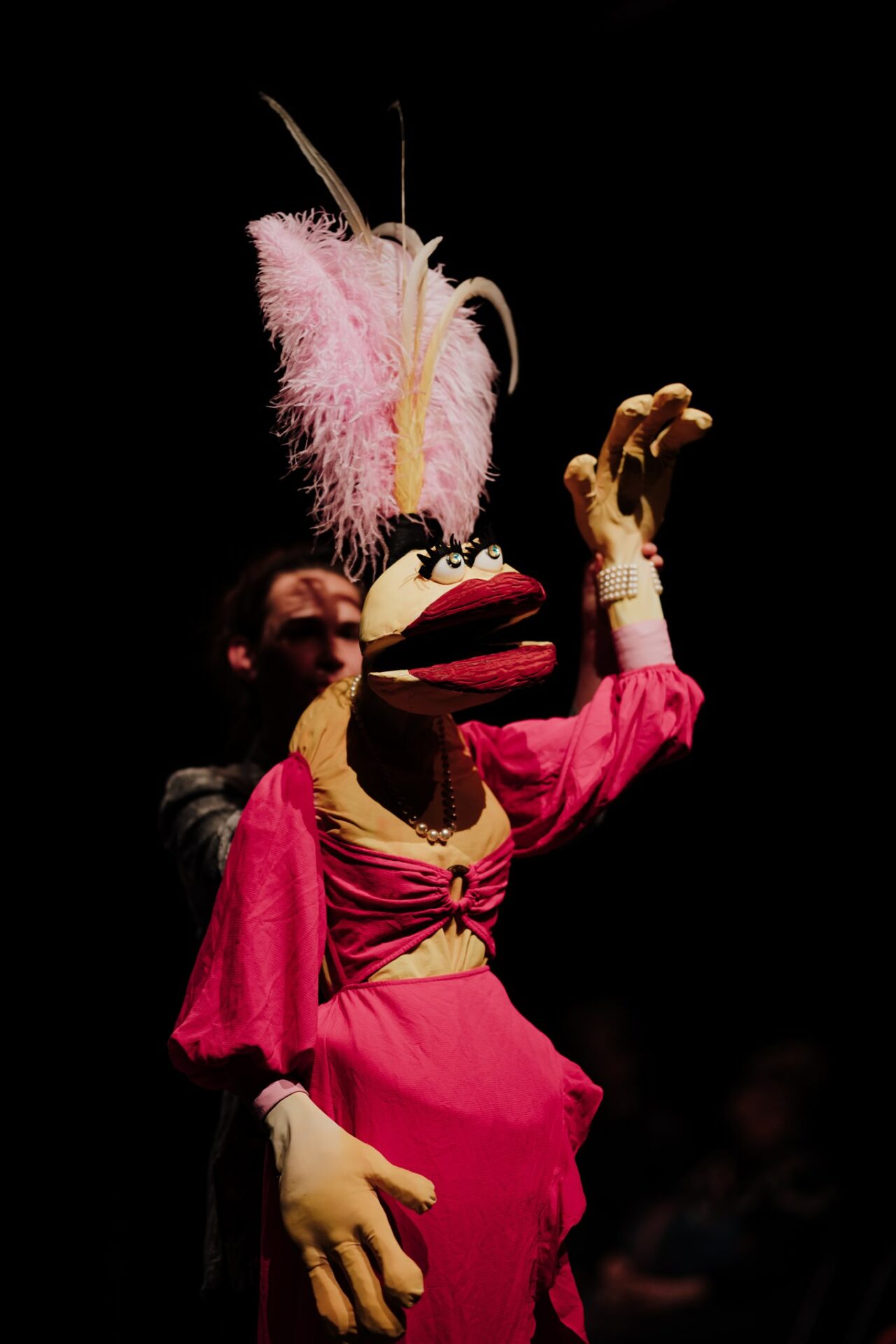 photo du stage Muppets dirigé par Neville Tranter auprès de la 14e promotion