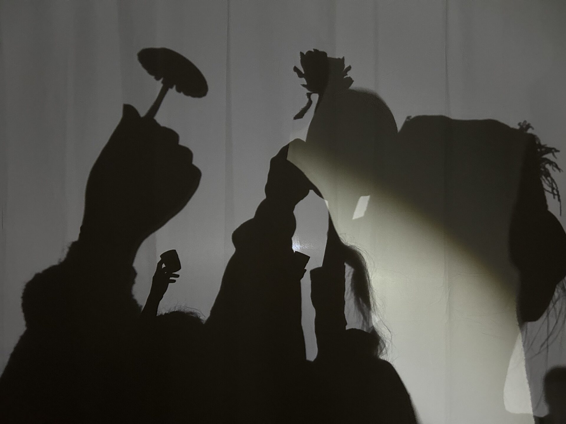 Photo d'un atelier de théâtre d'ombre par la compagnie En Liesse