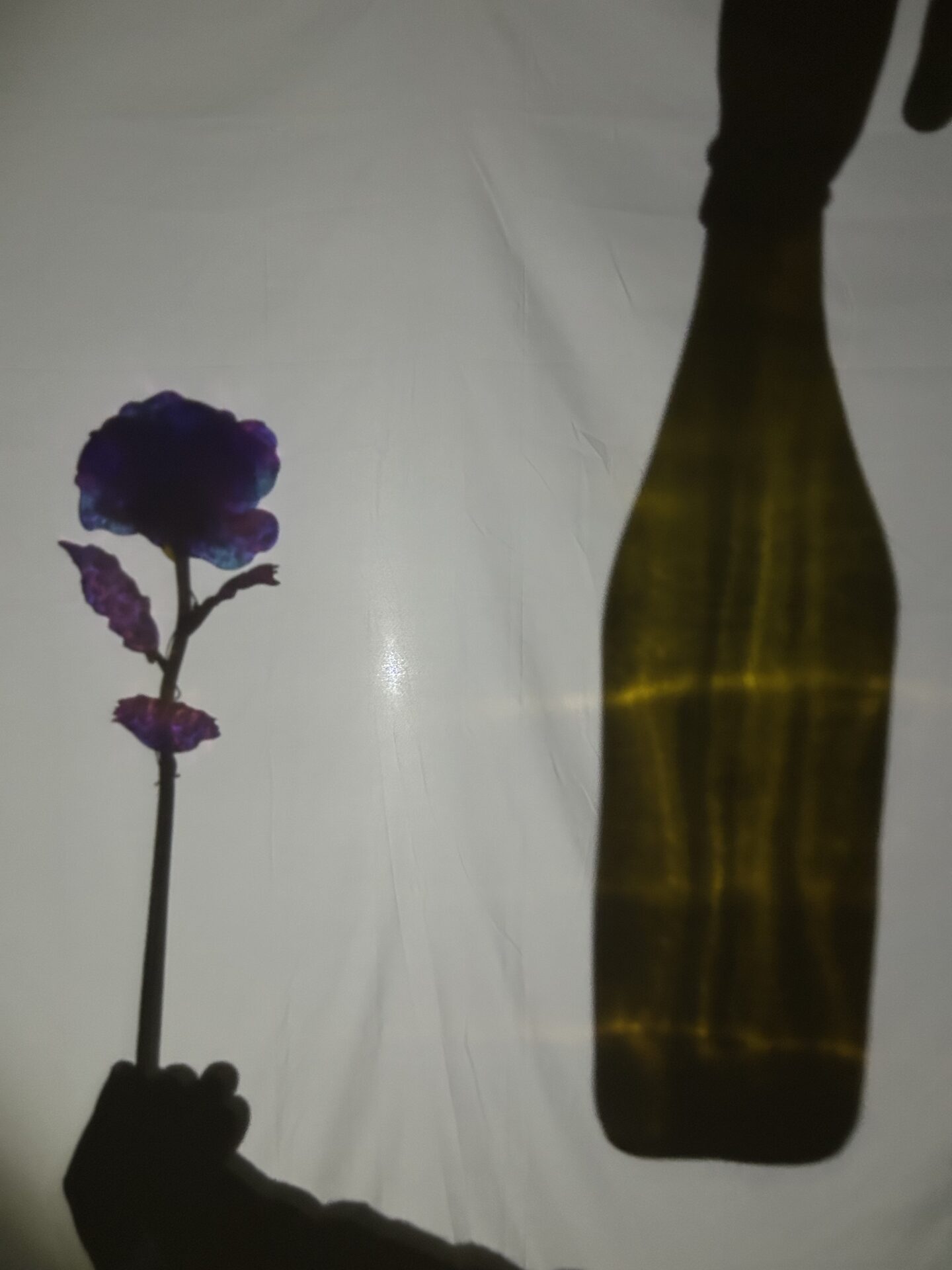 Photo d'un atelier de théâtre d'ombre mené par la compagnie En Liesse