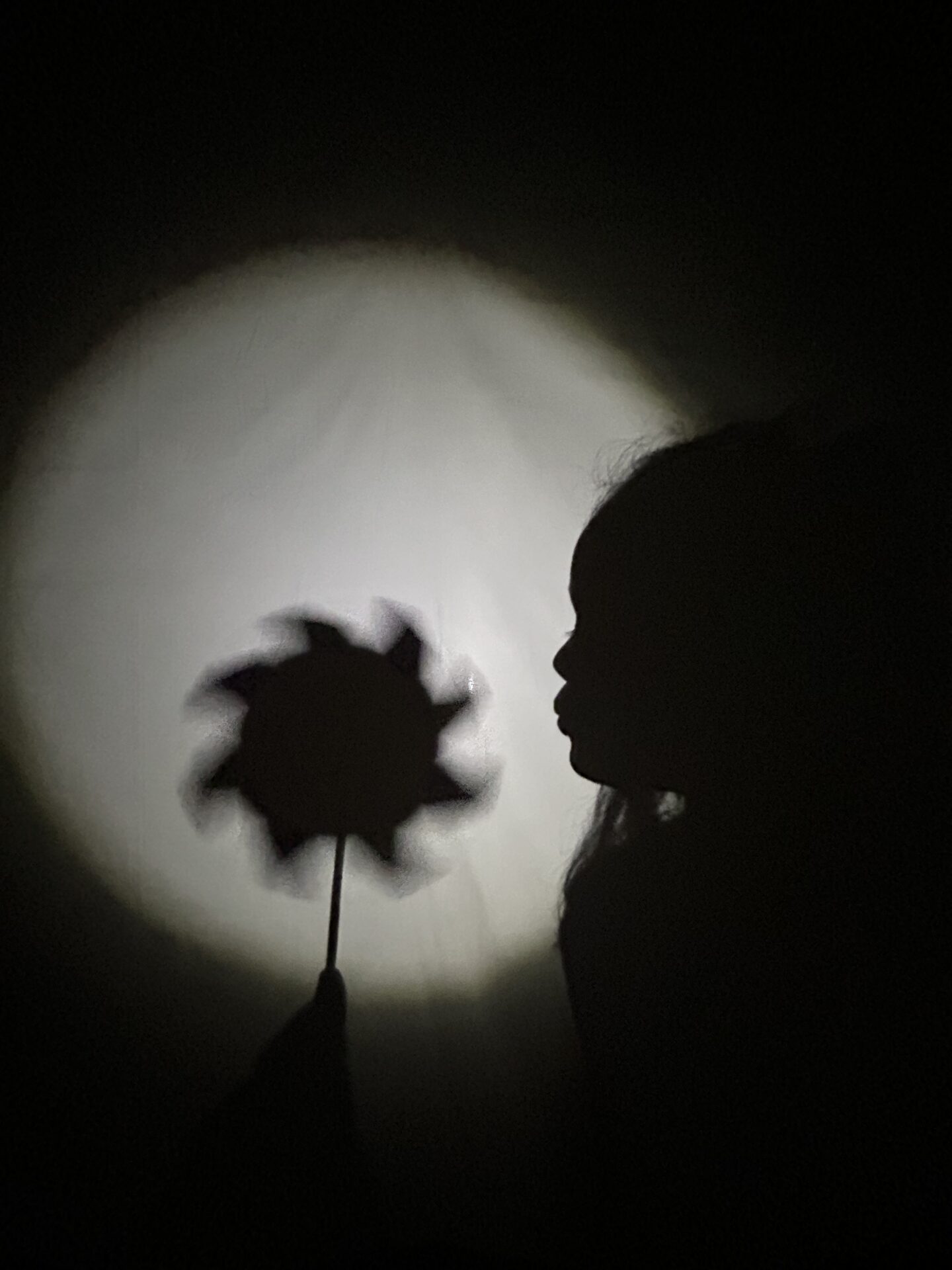 Photo d'un atelier de théâtre d'ombre par la compagnie En Liesse
