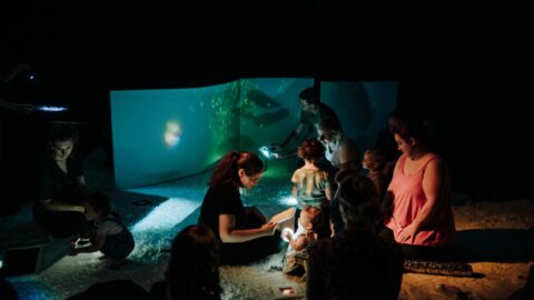 photo de la restitution "Un rien coloré" de Tra le Mani au Festival mondial des théâtres de marionnettes 2025. Photo prise par Hervé Dapremont